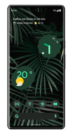 Google Pixel 6 Pro 128GB Zwart